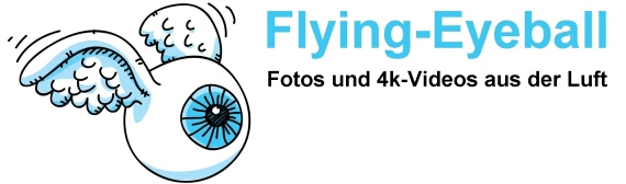 logo-flying-eyeball